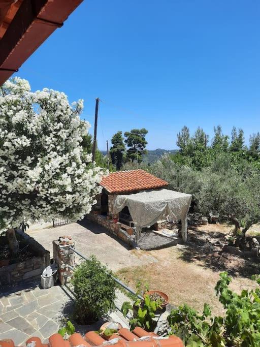 House With View Agia Paraskevi (Kassandra) Exterior foto